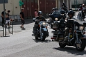 rally 2009 306